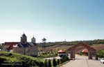 petkovica2-mala