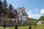 privina_glava3-mala