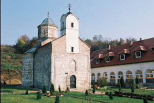 petkovica